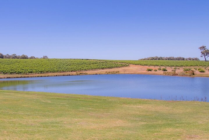Byg din egen unikke private vingård/bryggeritur i Margaret River-regionen