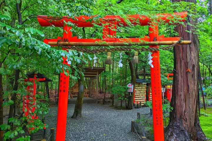 Från Kyoto / Osaka : Kyoto måste-se platser och Nara Park Endagstur