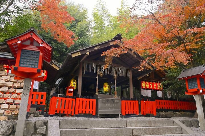 Från Kyoto / Osaka : Kyoto måste-se platser och Nara Park Endagstur