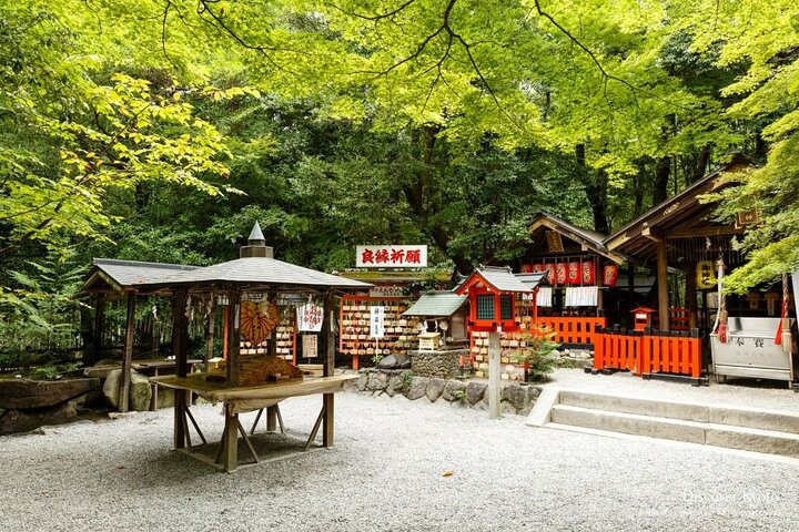 Från Kyoto / Osaka : Kyoto måste-se platser och Nara Park Endagstur