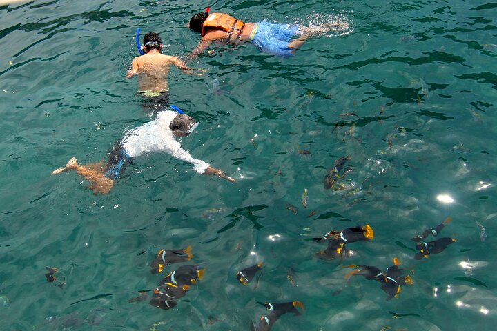Isla de la Plata: Hoteller i nærheden af Wildlife Trails & Snorkeling at Machalilla Park