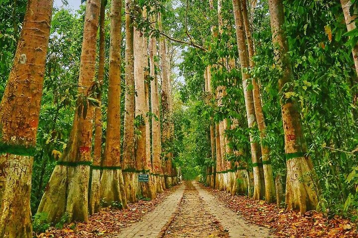 Escapada de lujo privada: Jardines de té de 2 días y paisajes paisajísticos