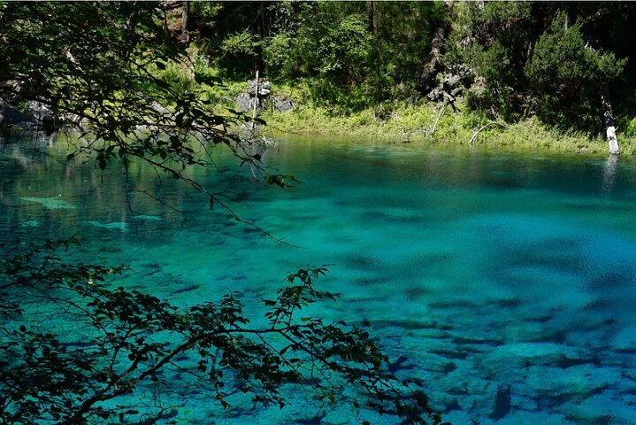Excursão VIP Privada: Experiência de 2 dias em Jiuzhaigou/Huanglong