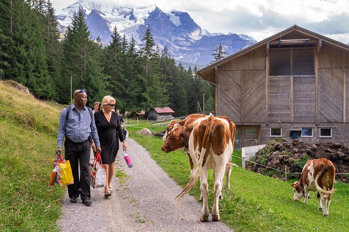 Gemakkelijke plattelandstocht in de Zwitserse Alpen - kindvriendelijk