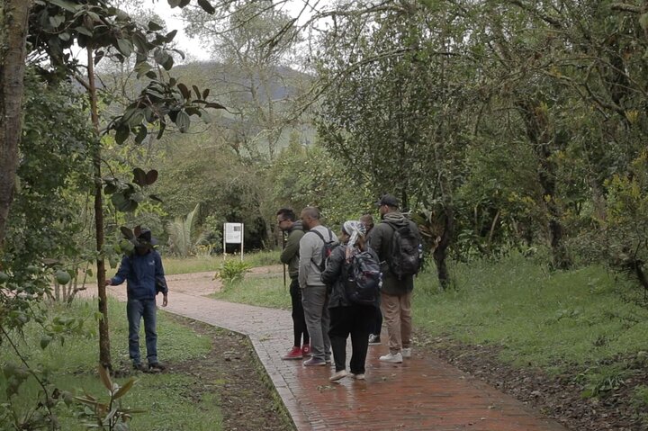 Zipaquirá Salt Cathedral och Guatavita Lagoon Shared Tour