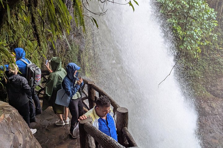Excursión a los jardines de la cascada de La Paz y refugio de vida silvestre desde San José