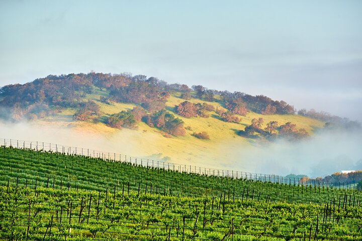 Tour de audio autoguiado por Sonoma y el Valle de Napa