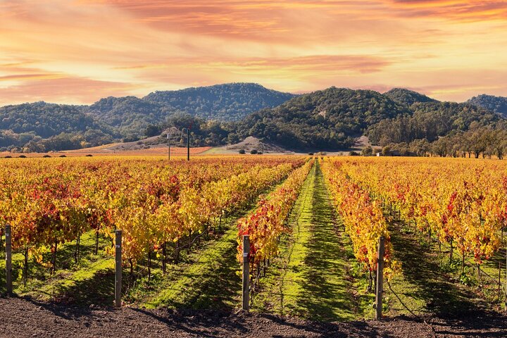 Tour de audio autoguiado por Sonoma y el Valle de Napa