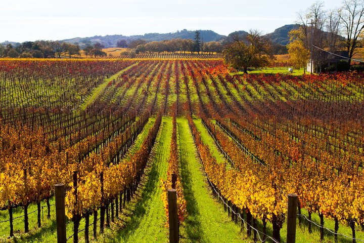 Tour de audio autoguiado por Sonoma y el Valle de Napa