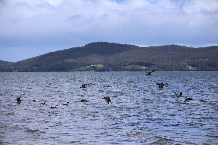 Les anmeldelser av Bruny Island - Wild Escapes from Hobart