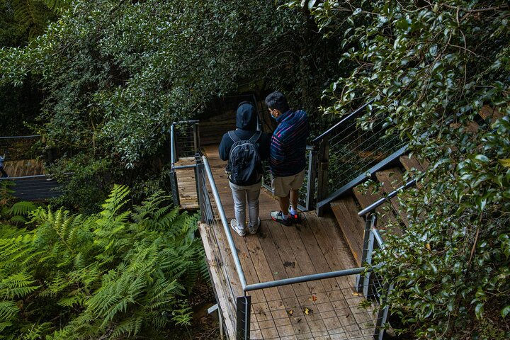 Hoteller i nærheden af Scenic World Wentworth Falls & Cruise Tour