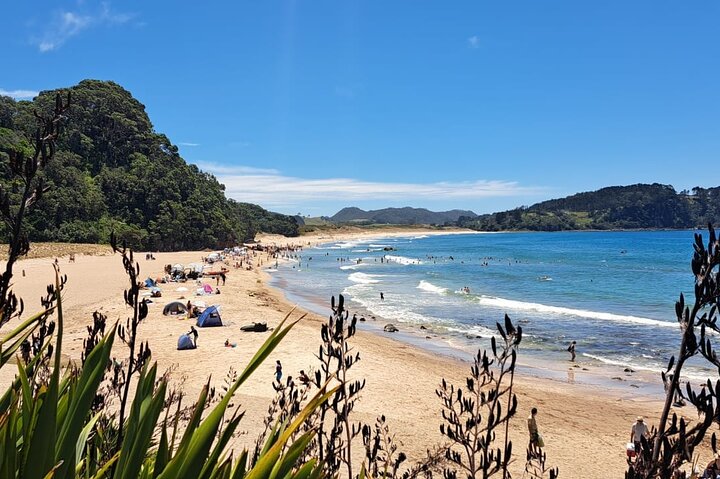 Cathedral Cove & Hot Water Beach Tour met kleine groep en lunch