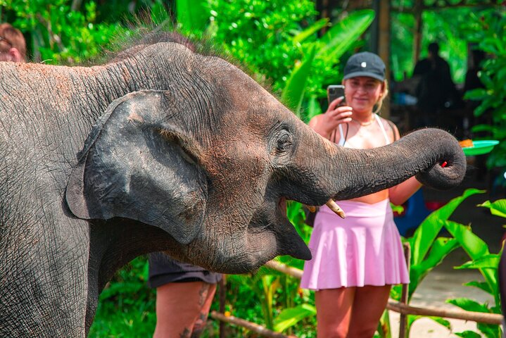 Tour di 6 ore sulla cura degli elefanti e nella giungla in fuoristrada a Koh Samui