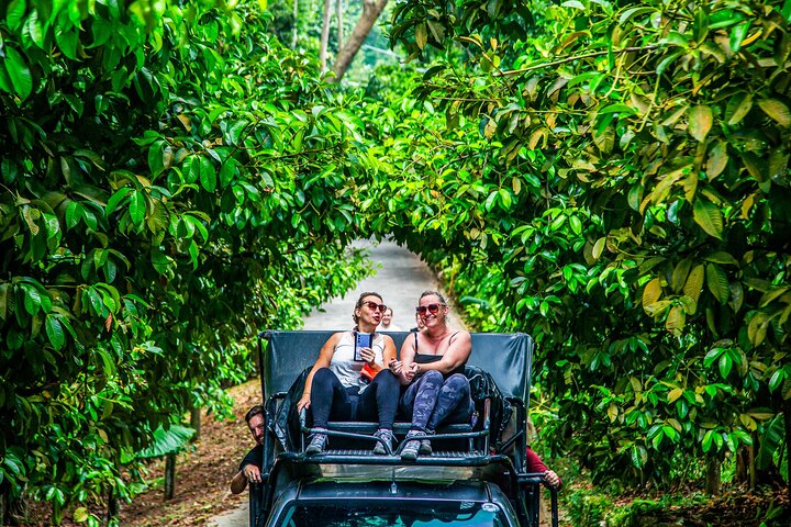 Tour di 6 ore sulla cura degli elefanti e nella giungla in fuoristrada a Koh Samui