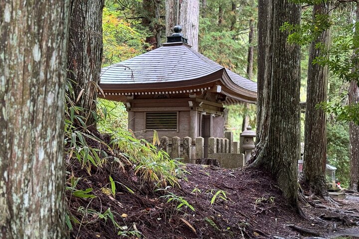 Koyasan : Visita obligada al cementerio Okuno-in 2 - Visita guiada de una hora