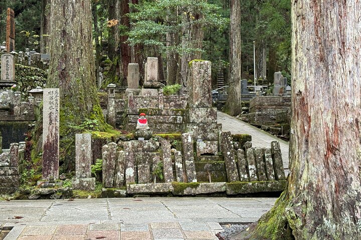 Koyasan : Visita obligada al cementerio Okuno-in 2 - Visita guiada de una hora