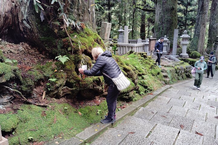 Koyasan : Visita obligada al cementerio Okuno-in 2 - Visita guiada de una hora