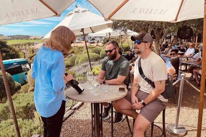 Auckland : Waiheke Island Scenic Tour 4 vingårder, lokale guider