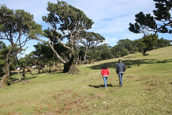 Madeira Cabriolet Scenic Roads West Connection Naturaleza y piscinas