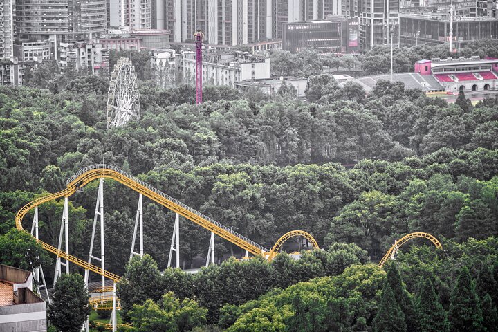 Sense-sational Wuhan (Visita guiada / Tour privado / City Tour)