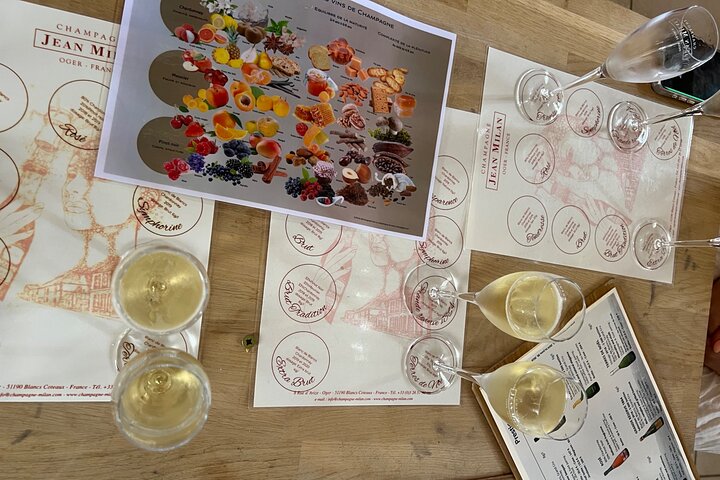 Bubble Champagne Tour vanuit Epernay (tour van een halve dag met kleine groepen)