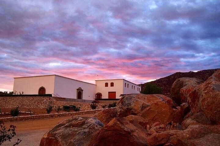 Privé wijntour Valle de Guadalupe : alle wijnproeverijen inbegrepen