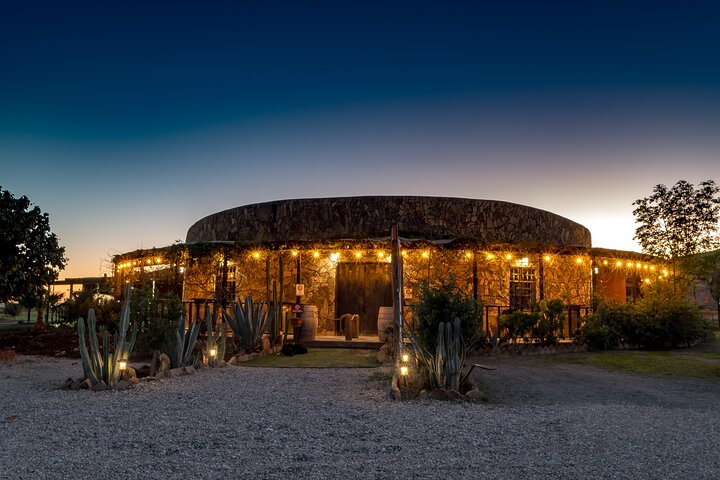 Privé wijntour Valle de Guadalupe : alle wijnproeverijen inbegrepen