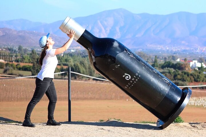 Privé wijntour Valle de Guadalupe : alle wijnproeverijen inbegrepen