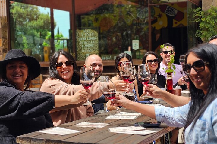 Privé wijntour Valle de Guadalupe : alle wijnproeverijen inbegrepen
