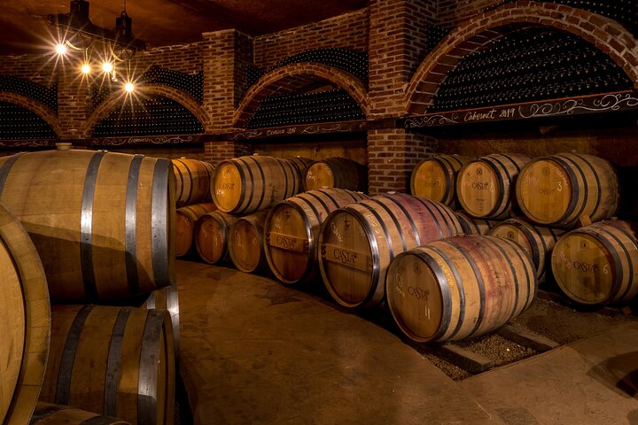 Privé wijntour Valle de Guadalupe : alle wijnproeverijen inbegrepen