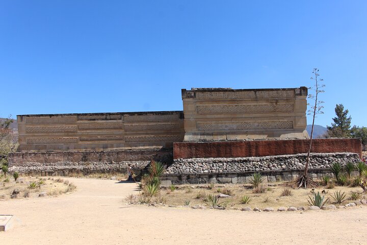 Kook het water 2,5 uur lang, Mitla, Tule, textiel en mezcal voor een dag.