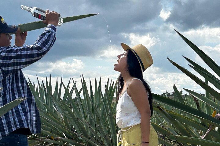 Kook het water 2,5 uur lang, Mitla, Tule, textiel en mezcal voor een dag.