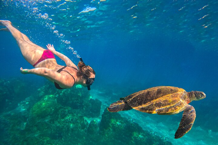 No Rush Morning & Afternoon 5 Stopp snorkeltur til Koh Tao