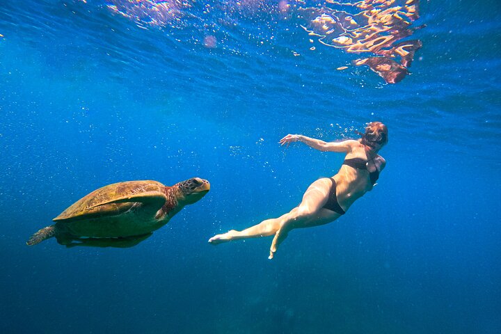 No Rush Morning & Afternoon 5 Stopp snorkeltur til Koh Tao