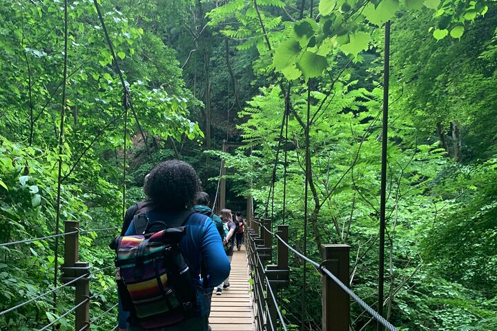 Escursione di un'intera giornata al Monte Takao, inclusa la sorgente termale