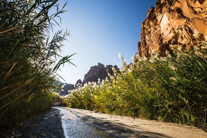 Wonders of Tabuk Tour 3 Days 2 Nights Tour