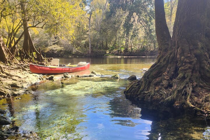 Tour en kayak por el fondo de vidrio transparente guiado de 2 horas Gilchrist Blue Spring