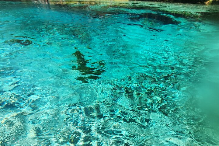 Tour en kayak por el fondo de vidrio transparente guiado de 2 horas Gilchrist Blue Spring