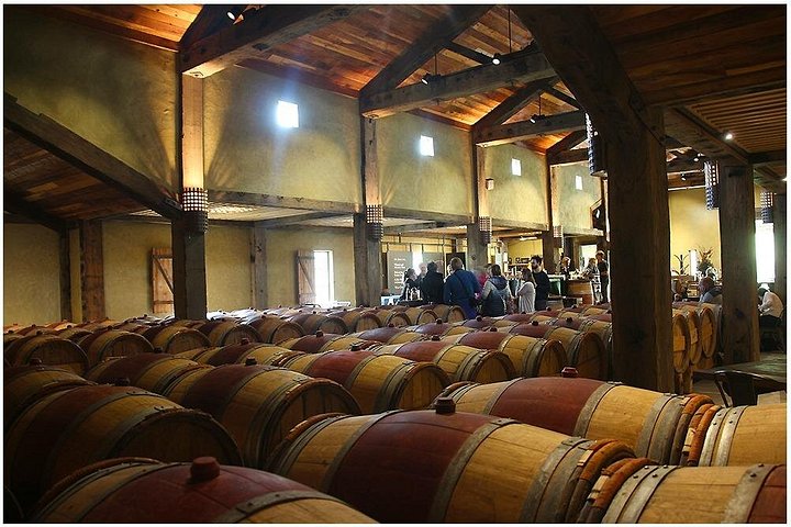 Pequeno Grupo - Excursão de meio dia ao Winery Hawke's Bay