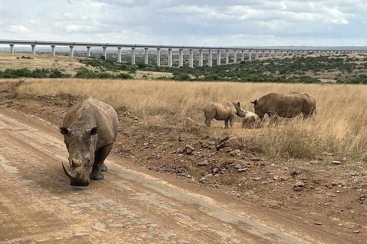 Nairobi nasjonalpark Half-Day Game Drive med hotellhenting