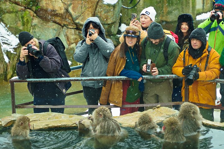 Snow Monkeys, Obuse & Sake: En perfekt dag i Nagano