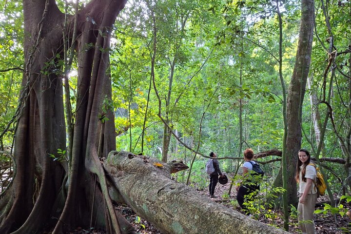 Bacalar: Wilde Calakmul-Natur, wie sie sein sollte | Klettern, Wandern & Fledermäuse