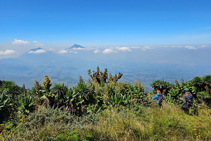 vandring Bisoke, Sabyinyo, Gahinga, Muhabura, Kalsimbi, lokala berg