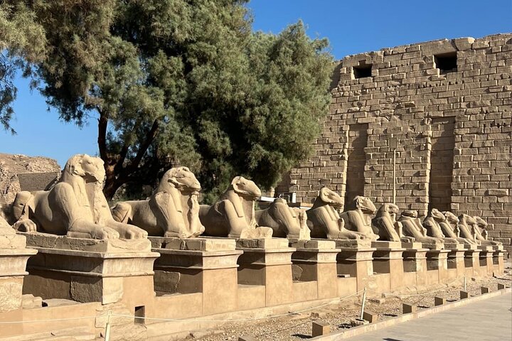 Privédagtrip naar Luxor vanuit Marsa Alam en Vallei der Koningen
