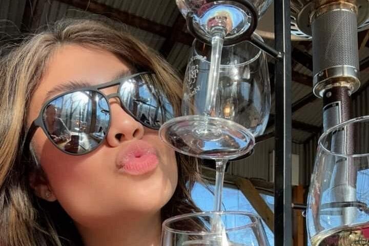 MOVIE STARS 2 Day Traverse Wine Country 2 Peninsula WINE TOUR