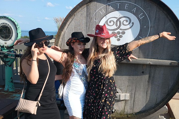 MOVIE STARS 2 Day Traverse Wine Country 2 Peninsula WINE TOUR