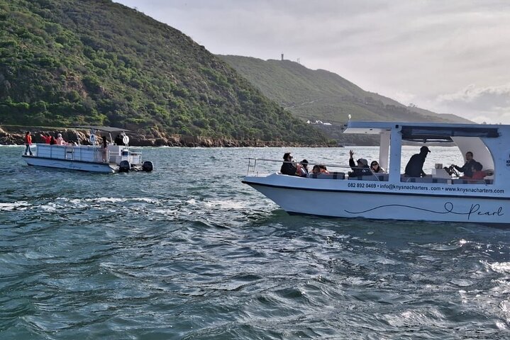 Knysna Heads & Lagoon Båtkryssinger - 75 min naturskjønne opplevelse