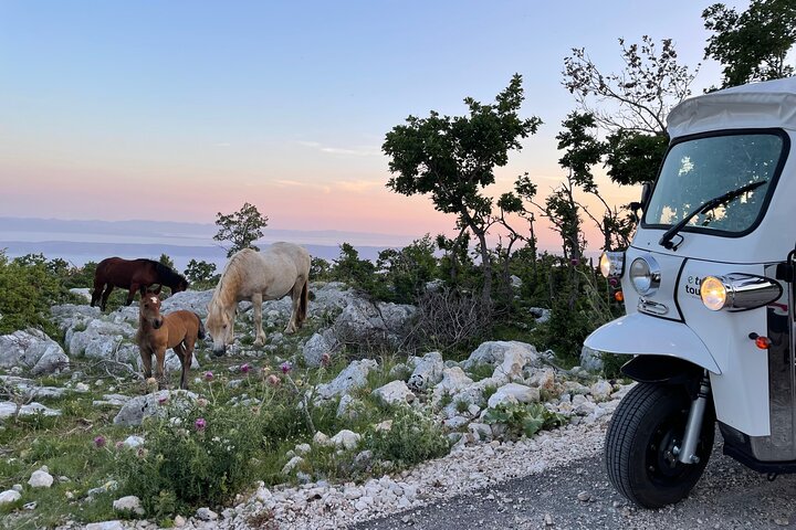Makarska: Skywalk Tour med en Tuk Tuk - Skip the line billett