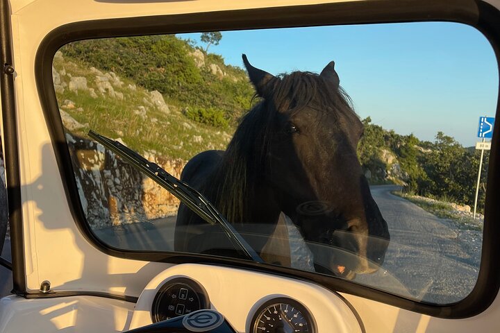 Makarska: Skywalk Tour med en Tuk Tuk - Skip the line billett