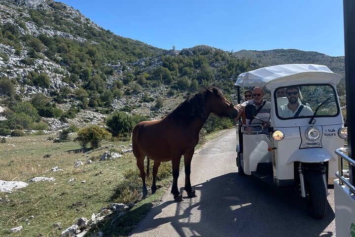 Makarska: Skywalk Tour med en Tuk Tuk - Skip the line billett